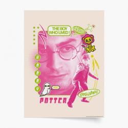 Empikfoto. ro Poster, Harry Potter: Harry - Expelliarmus, 21x30 - 284725