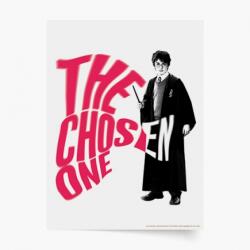 Empikfoto. ro Poster, Harry Potter: Alesul, 60x80 - 270202