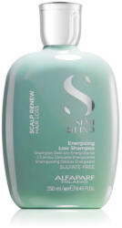 ALFAPARF Milano Semi Di Lino Scalp Renew Energizing Шампоани 1000ml