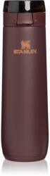 Stanley The Flowstate Spring bottle sticlă termos coffee 1 buc