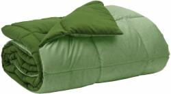 vidaXL Téli takaró 135 x 200 cm Téli Mikroszál (100% poliészter) Zöld 42026126 (42026127)