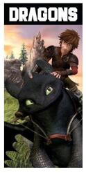 Evidence Így neveld a sárkányodat törölköző 70x140 (HTTYD241033-R)