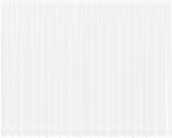 vidaXL Csipkés Függöny függönyökkel Fehér 260 x 600 cm Poliészter 4107940 (4107940)