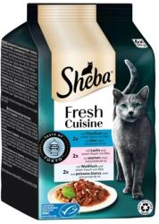 Sheba -SHEBA Mini 6x50g halas válogatás