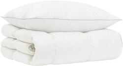 vidaXL 90% lúd toll paplan szett FULDA 2 db 135 x 200 cm Minden évszak 3442159 (3442159)