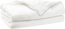 vidaXL Paplan és párna szett 3 db 220x240 cm Nyári 140 GSM Gyapjú 3441253 (3441253)