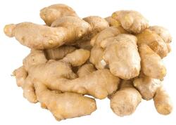  Gyömbér friss Ginger Fresh Adrak 1kg (12292)