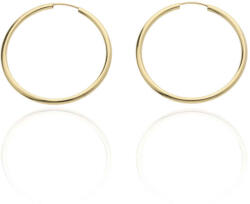 Gold earrings for ladies AU87060 - 14 K arany fülbevaló (AU87060)