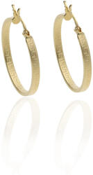 Gold earrings for ladies AU87053 - 14 K arany fülbevaló (AU87053)