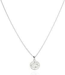 Fine Silver AG125451 - 925-ös ezüst nyaklánc medállal Méret: 42 - 45 cm (AG125451)