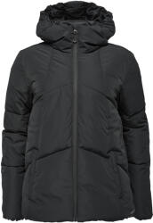 HEAD ASCO Fekete XL (JFST6710-A)