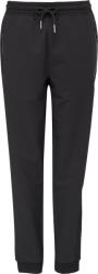 Willard BRICIPA Fekete L (PFTP1W-23205-A)