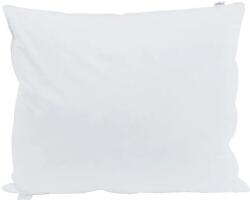 vidaXL 2 db párna, fehér, 60x70cm, toll töltettel, klasszikus, puha (42007691)