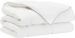 vidaXL Paplan és Ágypárna Szett 200 x 240 cm Téli 350 gsm Bambusz rost 42041952 (42041952)