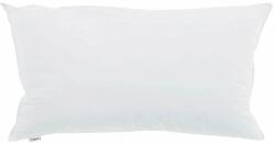 vidaXL 2 db Párna, Fehér, 40x80cm, Pamut, Extra puha (42007705)