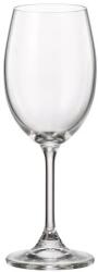 Ambition Leona fehérboros pohár szett 230 ml 6 darabos (814091)