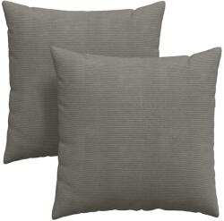 vidaXL Kanapé párnák 2 pcs Világosszürke 80 x 80 cm Bársonyos szövet 42014075 (42014075)