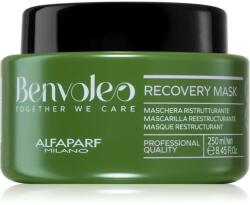 ALFAPARF Milano Benvoleo Recovery mask 250 ml