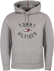 Tommy Hilfiger VARSITY GRAPHIC HOODY Szürke S (MW0MW27559ZN2)
