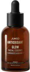 Jumiso Arcszérum, JUMISO, Antioxidant Glow, 40 ml (F84256)