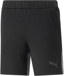 PUMA TEAMCUP CASUALS SHORTS Fekete, Sötétszürke S (65842303)