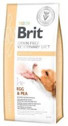 Brit VD Dog GF Hepatikus 12kg