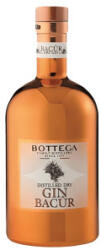Bottega Gin Bottega Bacur, Alcool 40%, 0.7 l
