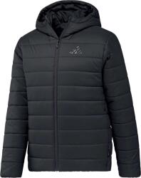 adidas MULTI TERREX ESSENTIALS HOODED JACKET Negru M (KX4221)
