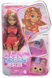 Mattel Barbie Dream Teens: Păpușa Teresa cu accesorii - Mattel (HYC23) Papusa Barbie