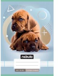 Nebulo Nebulo: Caiet liniat capsat pentru clasa a 3-a, format A5, 12-32, cu animale - cu câini (VO3-AM-A5-12346844)