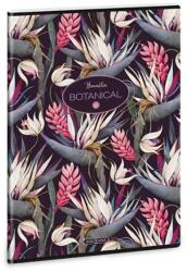Ars Una Ars Una: Bromelia extra capsat caiet simplu (53803276)