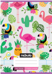 Nebulo Nebulo: Caiet tip dictando, format A5, cu linii, pentru clasa a 2-a, cu model de tucan, 16-32 file, capsat (VO2-CM-A5-12345762)