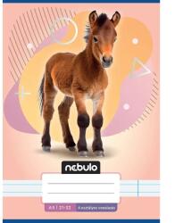 Nebulo Nebulo: Caiet dictando pentru clasa a 4-a cu model de căluț A/5 21-32 (VO4-AM-A5-12346936)