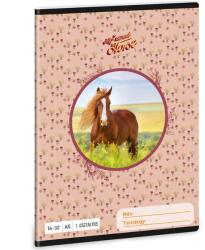 Ars Una Ars Una: My sweet Horse caiet liniat pentru clasa I A/5 (53583581)