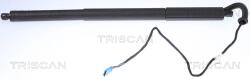 TRISCAN Amortizor Portbagaj 871011306 Bmw X3 (871011306)