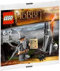 LEGO® Gandalf at Dol Guldur (30213)