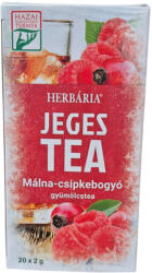 Herbária JEGES TEA FILTER 20x2G MÁLNA-CSIPKEBOGYÓ