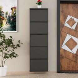 Hanah Home Dulap pantofi 5 piese, metal, Antracit (159ORN1107) Pantofar