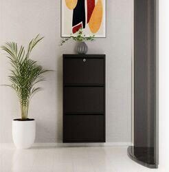 Hanah Home Dulap pantofi metalic cu 3 compartimente, negru (159ORN1112) Pantofar