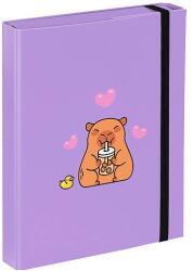 Baagl füzetbox A5 Capybara (A-36186)