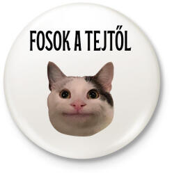 printfashion Fosok a tejtől - Kitűző, hűtőmágnes - Fehér (18525300)