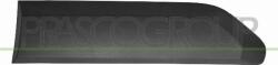 Prasco FT9131454 - Elemente decorative / protectie, portiera - Prasco-FT9131454 (PRASCOFT9131454)
