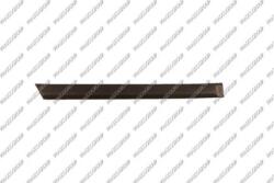 Prasco OP4101453 - Elemente decorative / protectie, portiera - Prasco-OP4101453 (PRASCOOP4101453)