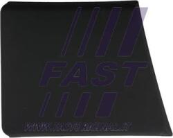 Fast FT90937 - Elemente decorative / protectie, portiera - ELEMENTE DECORATIVE-PROTECTIE. PORTIERA - compatibil 1637295980 - Fast-FT90937 (FASTFT90937)