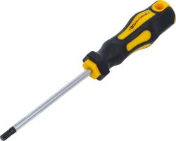 BGS technic Csavarhúzó | T-profil (Torx) T30 | Pengehossz 100 mm (7844-T30)