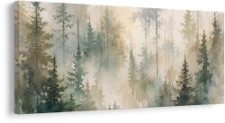Dovido Tablou pădure de molizi învăluită în ceață - 80x40