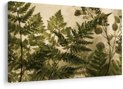 Dovido Tablou ferigi delicate pe fundal bej - 120x80