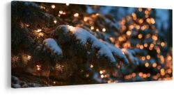 Dovido Tablou lumini de Crăciun pe zăpadă - 120x60