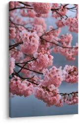 Dovido Tablou ramuri delicate cu flori roz - 100x150