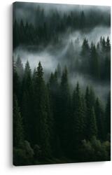 Dovido Tablou pădure montană liniștită în ceață - 60x90